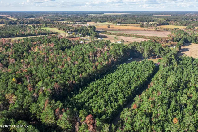 $60,000 | 700 Manley Smith Road, Nakina, NC 28455