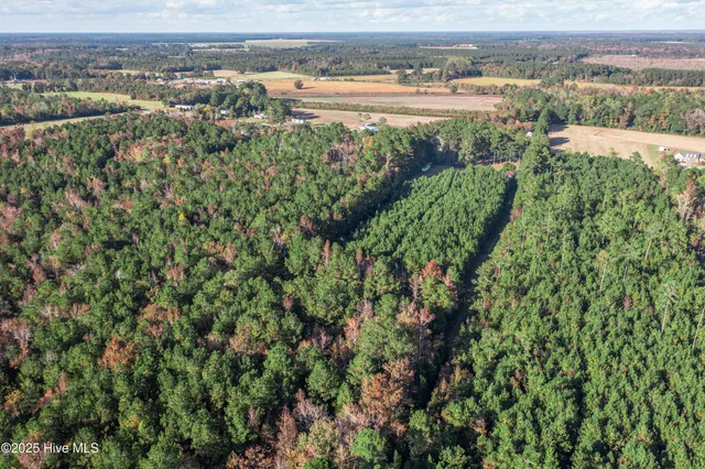 $60,000 | 700 Manley Smith Road, Nakina, NC 28455