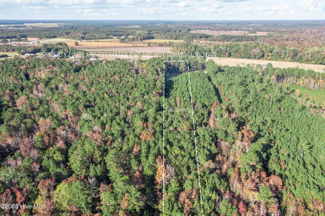 $60,000 | 700 Manley Smith Road, Nakina, NC 28455