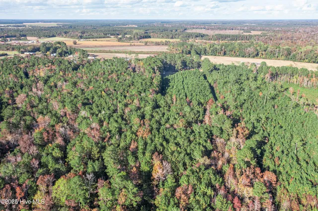 $60,000 | 700 Manley Smith Road, Nakina, NC 28455