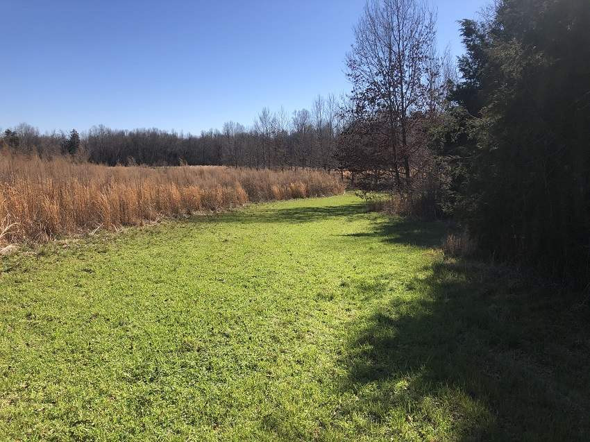 14468 Emory Road West, MS 39192 - Photo 13 of 18 Photo 15