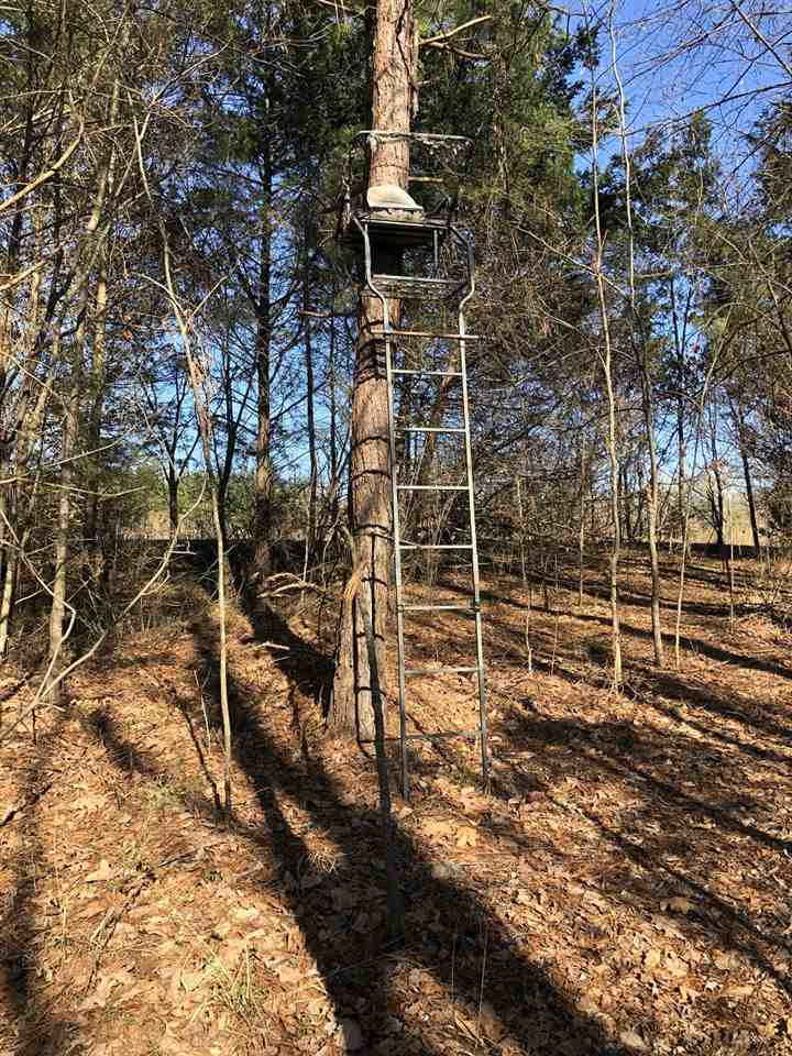 14468 Emory Road West, MS 39192 - Photo 18 of 18 Photo 20