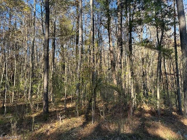 999 White Cross Road Chapel Hill, NC 27516 - Photo 4 of 7