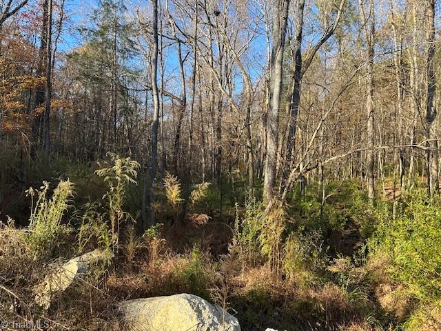 999 White Cross Road Chapel Hill, NC 27516 - Photo 5 of 7