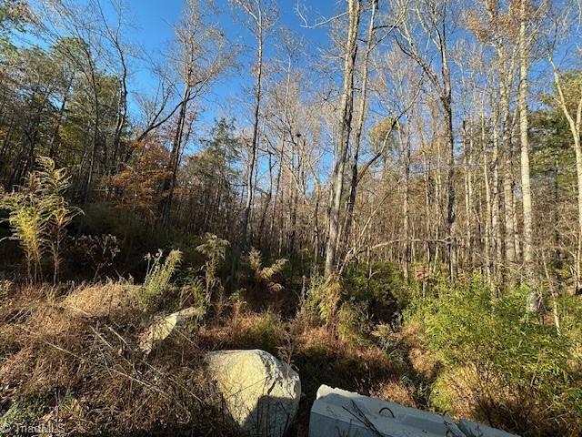 999 White Cross Road Chapel Hill, NC 27516 - Photo 6 of 7