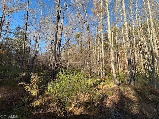 999 White Cross Road Chapel Hill, NC 27516 - Photo 7 of 7