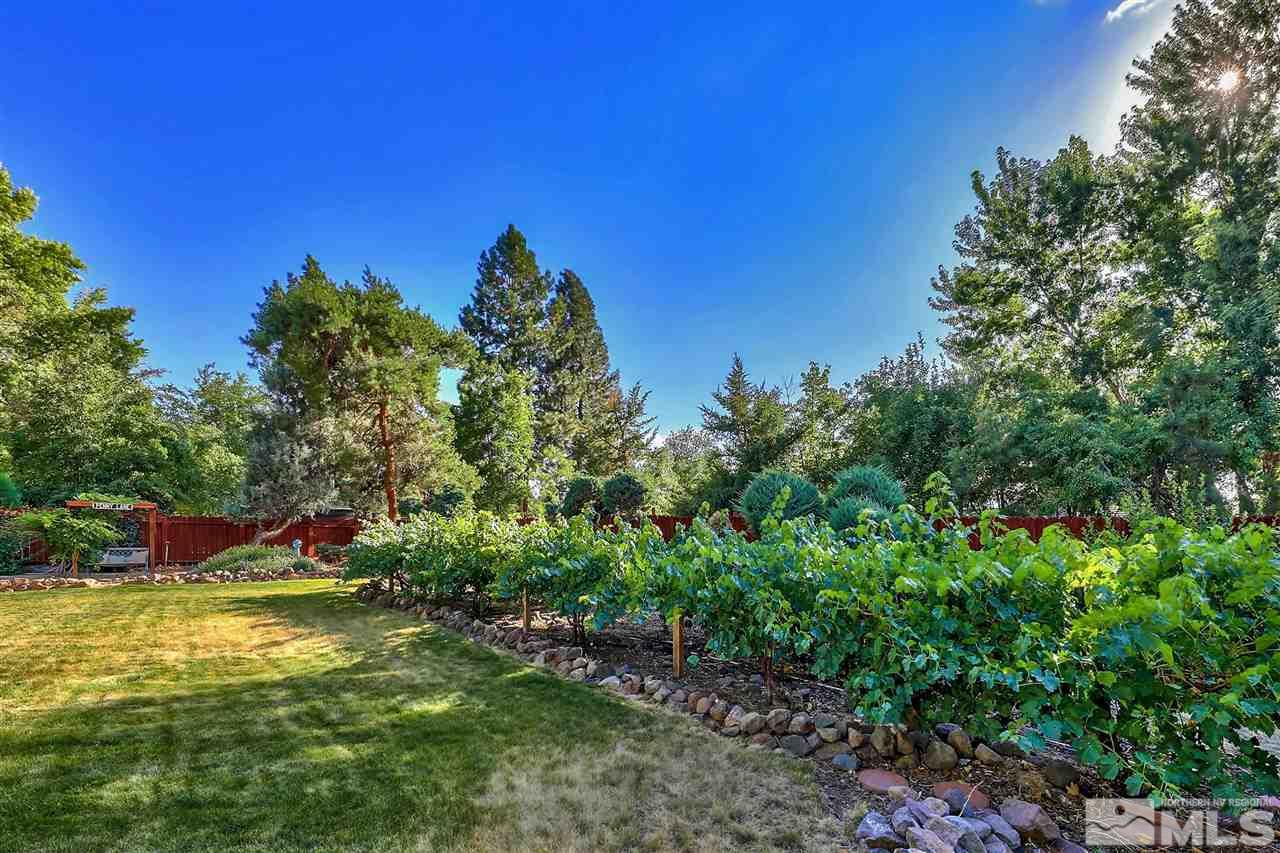 2445 Tamarisk Drive Reno, NV 89502 - Photo 12 of 25 Photo 12