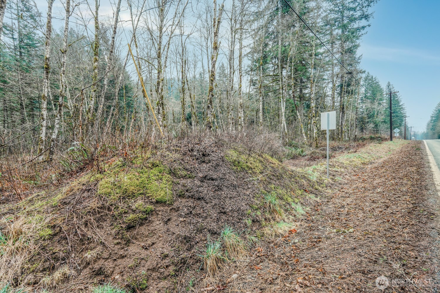 0 Washougal River Road Washougal, WA 98671 - Photo 4 of 9 a view of a forest with trees in the background