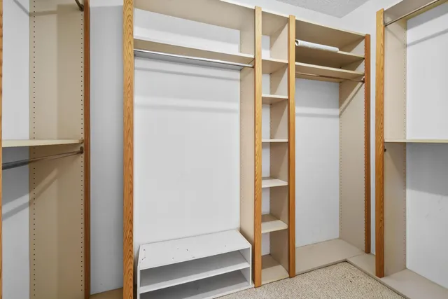 a view of a lake with a palm tree