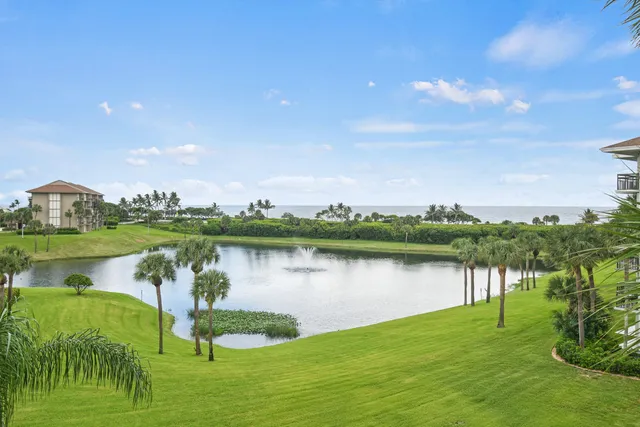 a view of outdoor space yard and patio