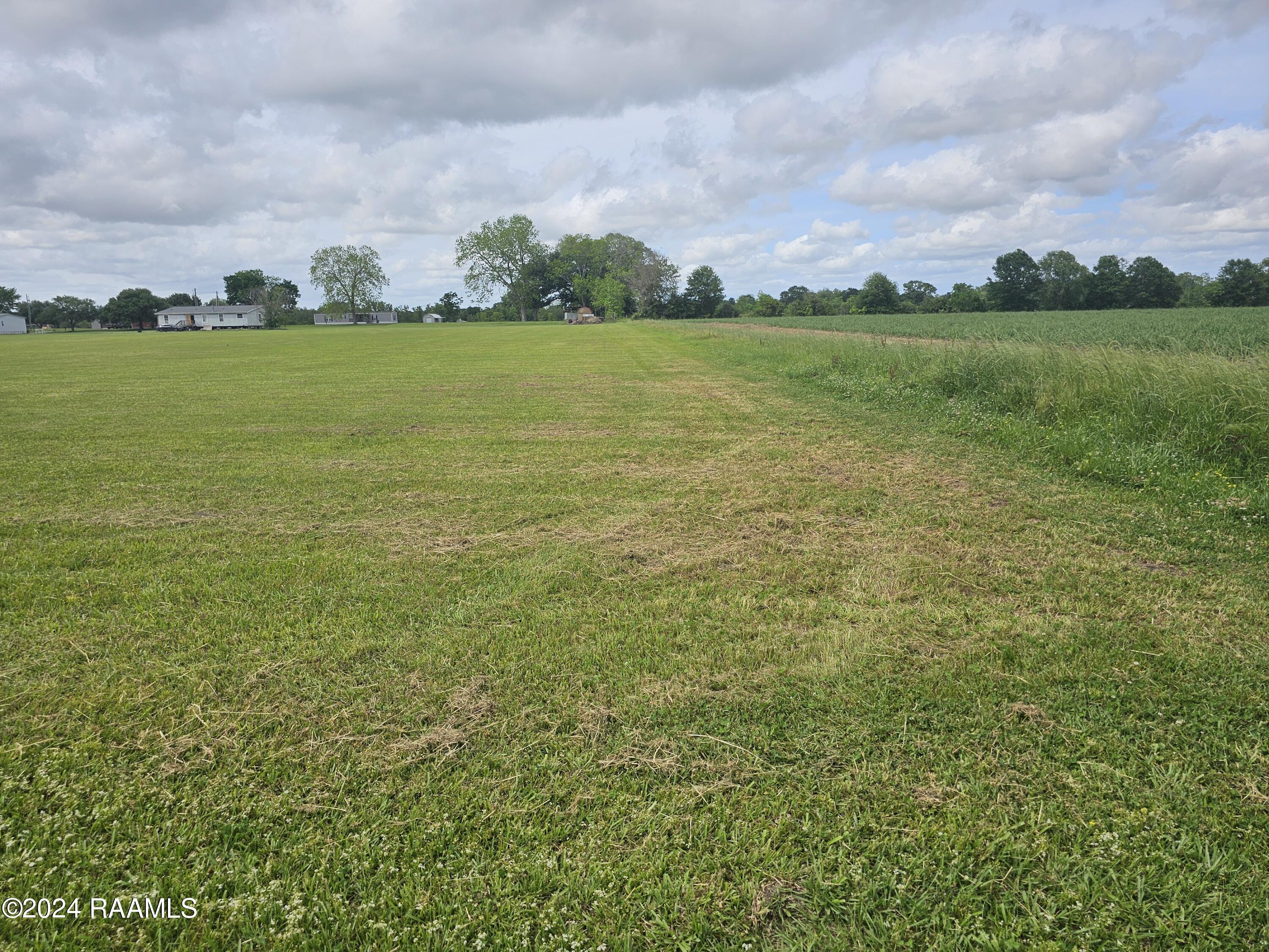 Tbd Hillside Road Abbeville, LA 70510 - Photo 5 of 6 20240415_152838