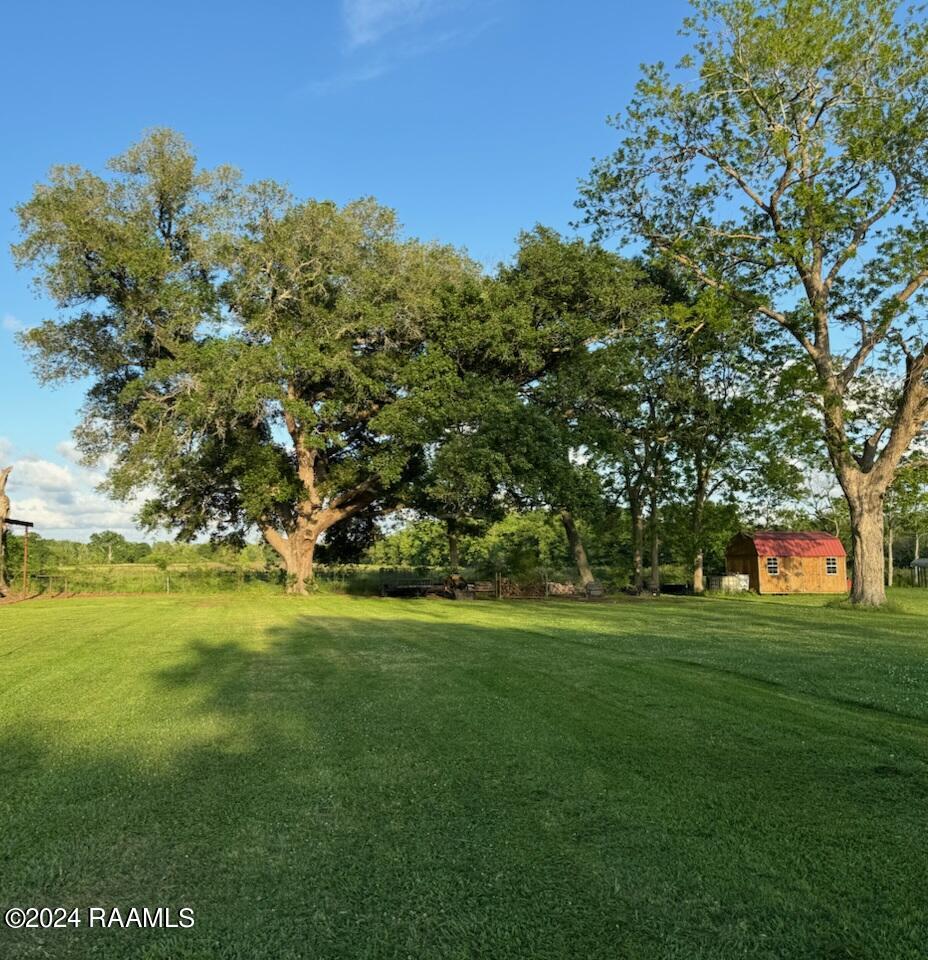 Tbd Hillside Road Abbeville, LA 70510 - Photo 6 of 6 IMG_20240415_154235