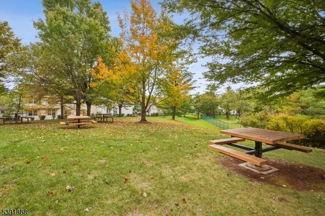 a view of a park with large trees