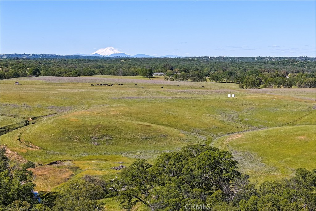 0 Baker Road Red Bluff, CA 96080 - Photo 1 of 1 Gallery Image 1
