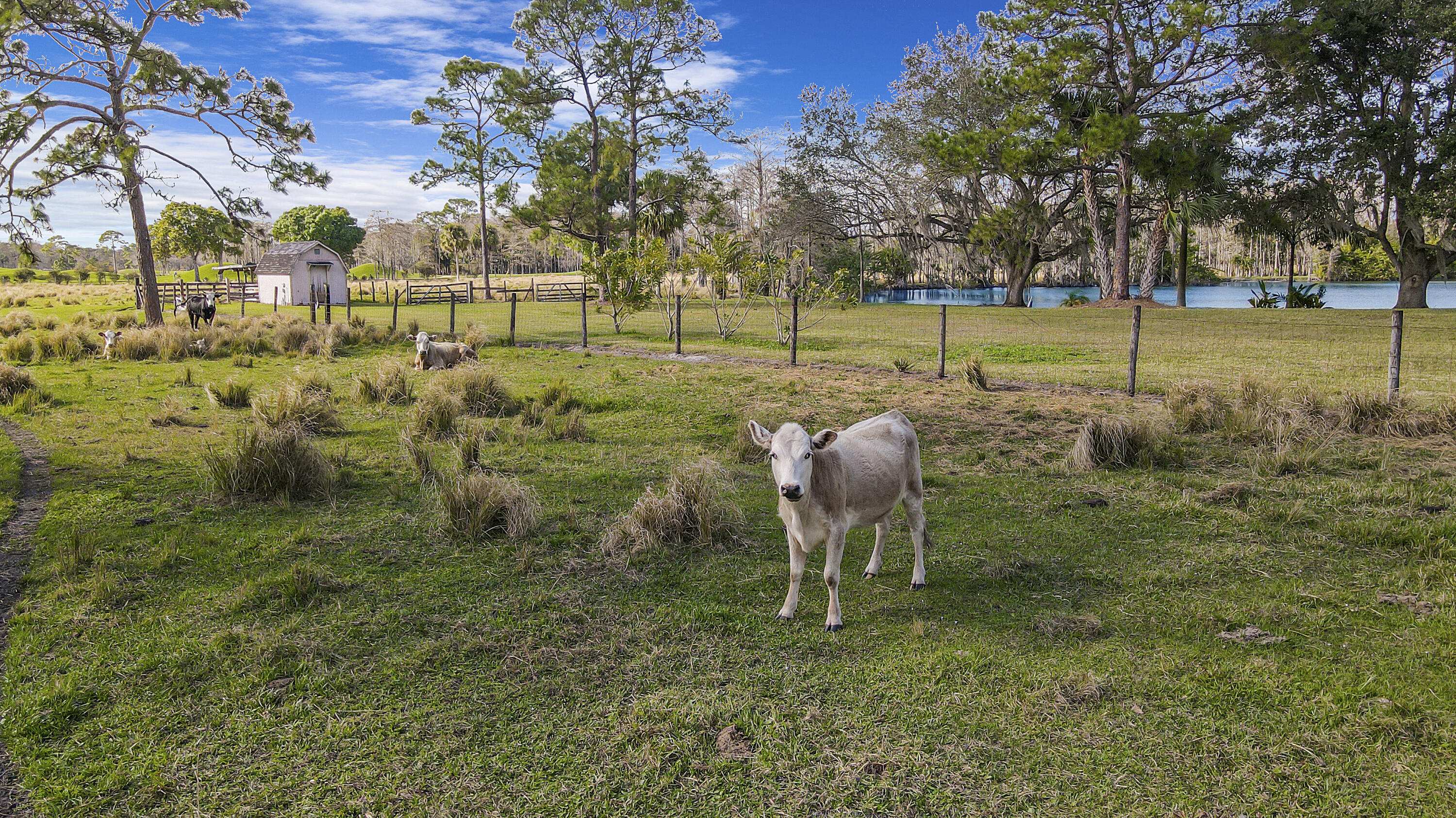 19900-addl Southeast Mack Dairy Road Jupiter, FL 33478 - Photo 28 of 50 Ag tax exempt