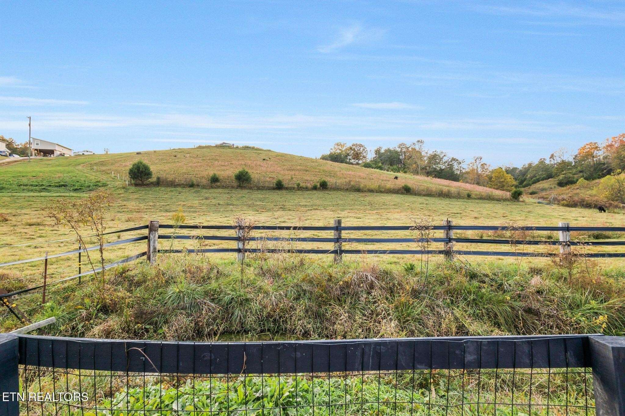 414 Reagan Branch Road Seymour, TN 37865 - Photo 32 of 40