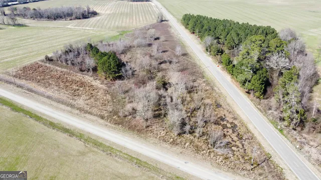 $125,000 | 0 North County Line Road, Elko, GA 31025