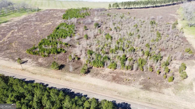 $125,000 | 0 North County Line Road, Elko, GA 31025