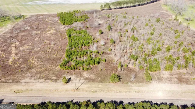 $125,000 | 0 North County Line Road, Elko, GA 31025