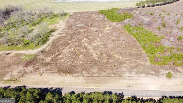 $125,000 | 0 North County Line Road, Elko, GA 31025