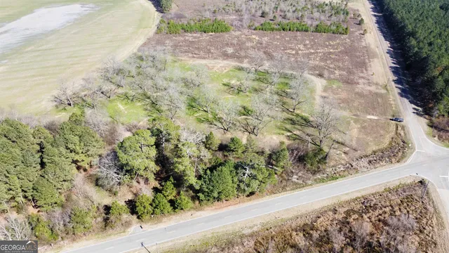 $125,000 | 0 North County Line Road, Elko, GA 31025