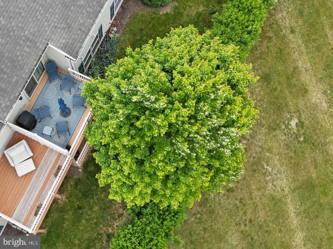 728 Skywalk Lane Lancaster, PA 17601 - Photo 39 of 39 view of a yard with plants