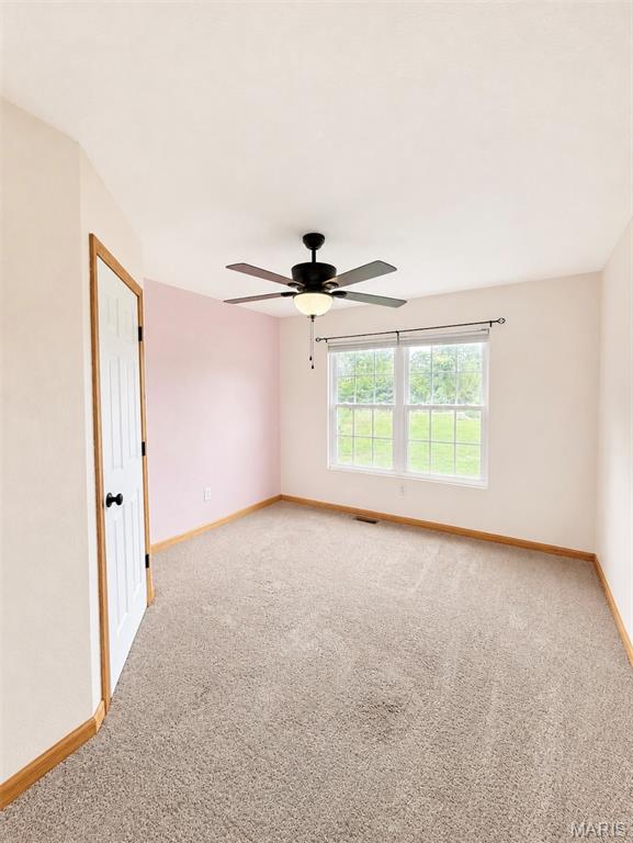 3208 Pintail Ridge Road Bonne Terre, MO 63628 - Photo 51 of 77