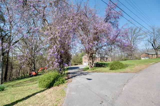 a view of a house with a big yard and large tree