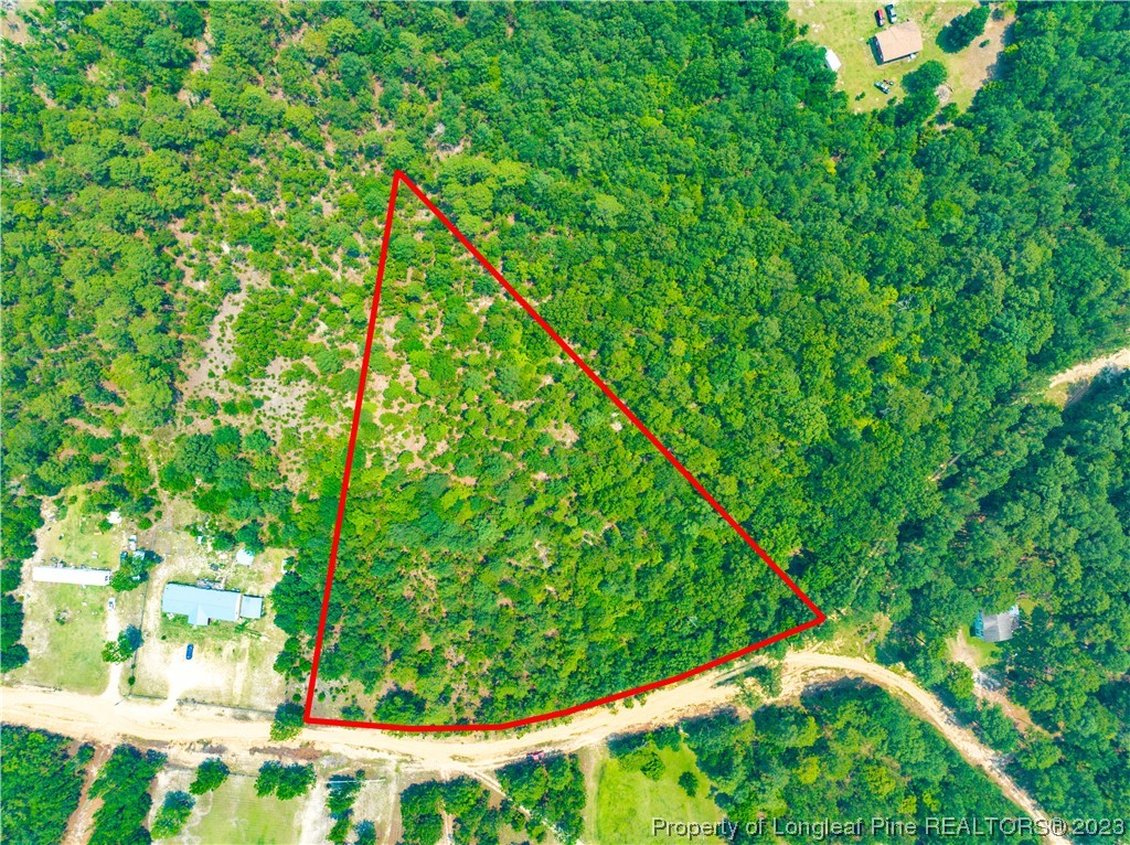 Old Forest Road Raeford, NC 28376 - Photo 1 of 7 a view of a tree in a garden