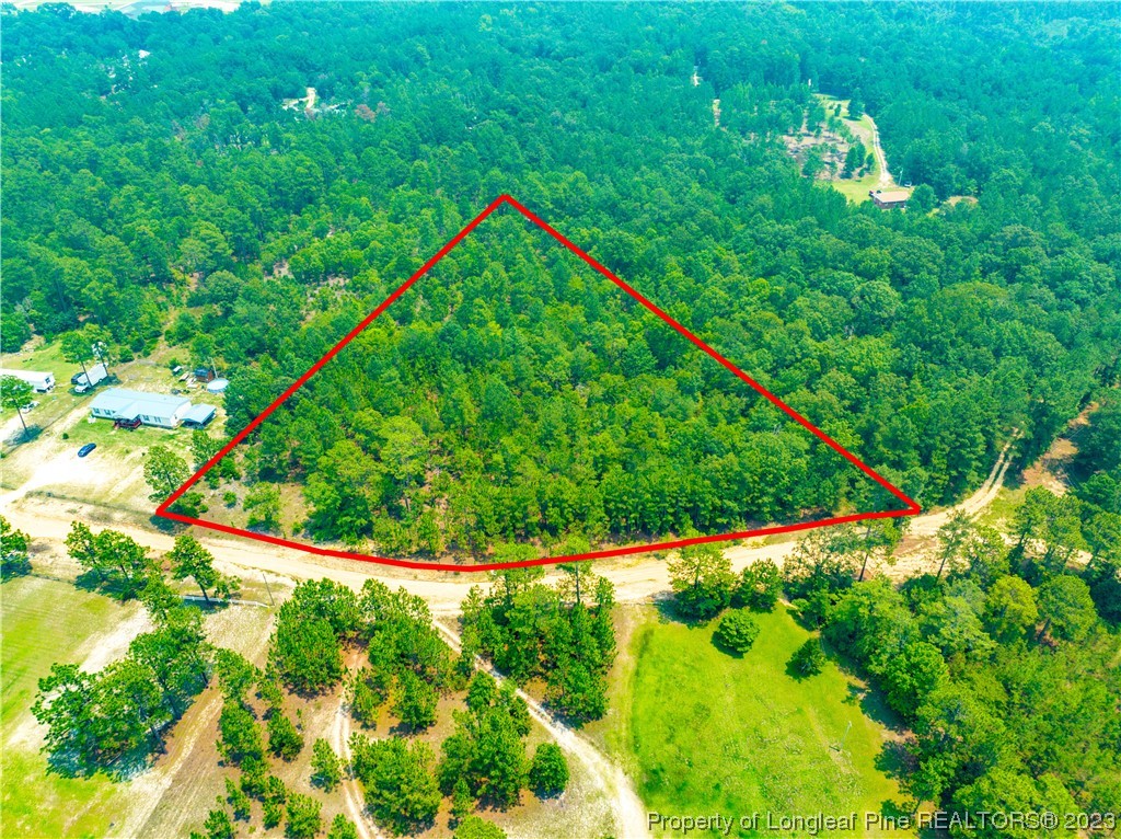 Old Forest Road Raeford, NC 28376 - Photo 2 of 7 a view of a lush green forest with lots of bushes