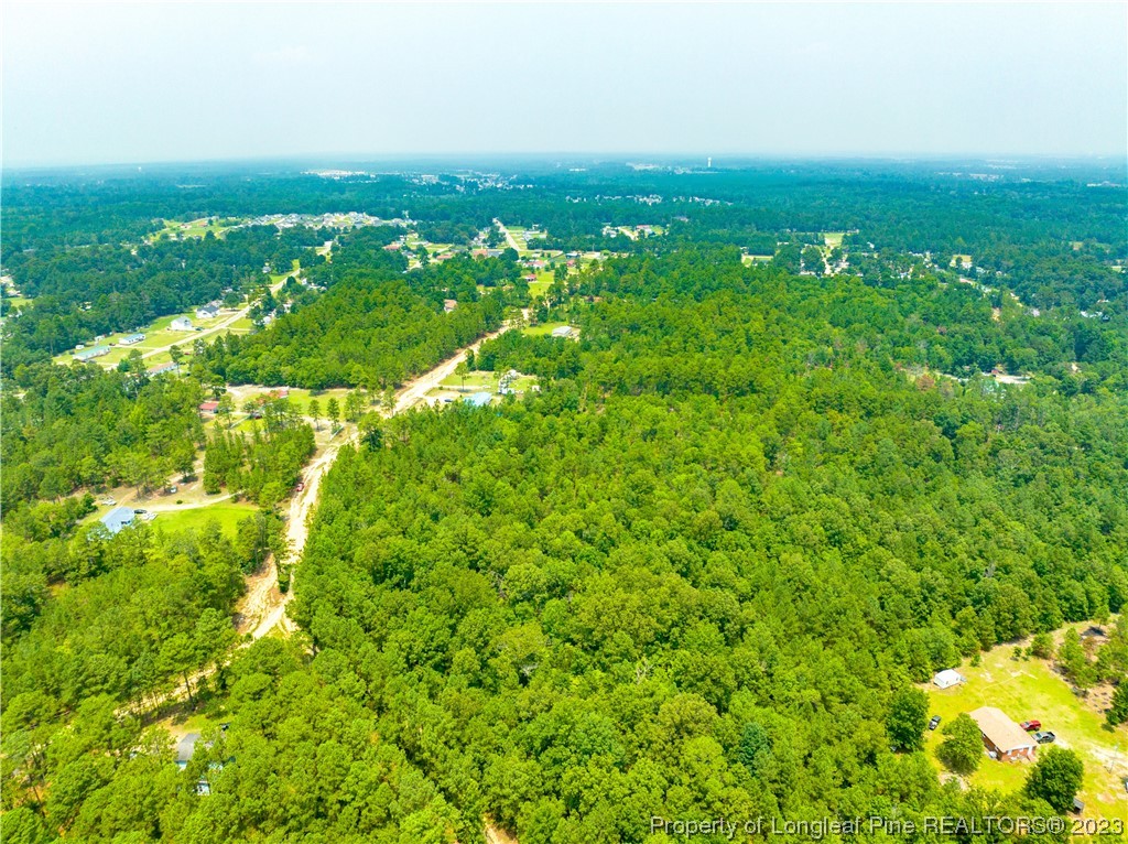 Old Forest Road Raeford, NC 28376 - Photo 3 of 7 a view of a green field
