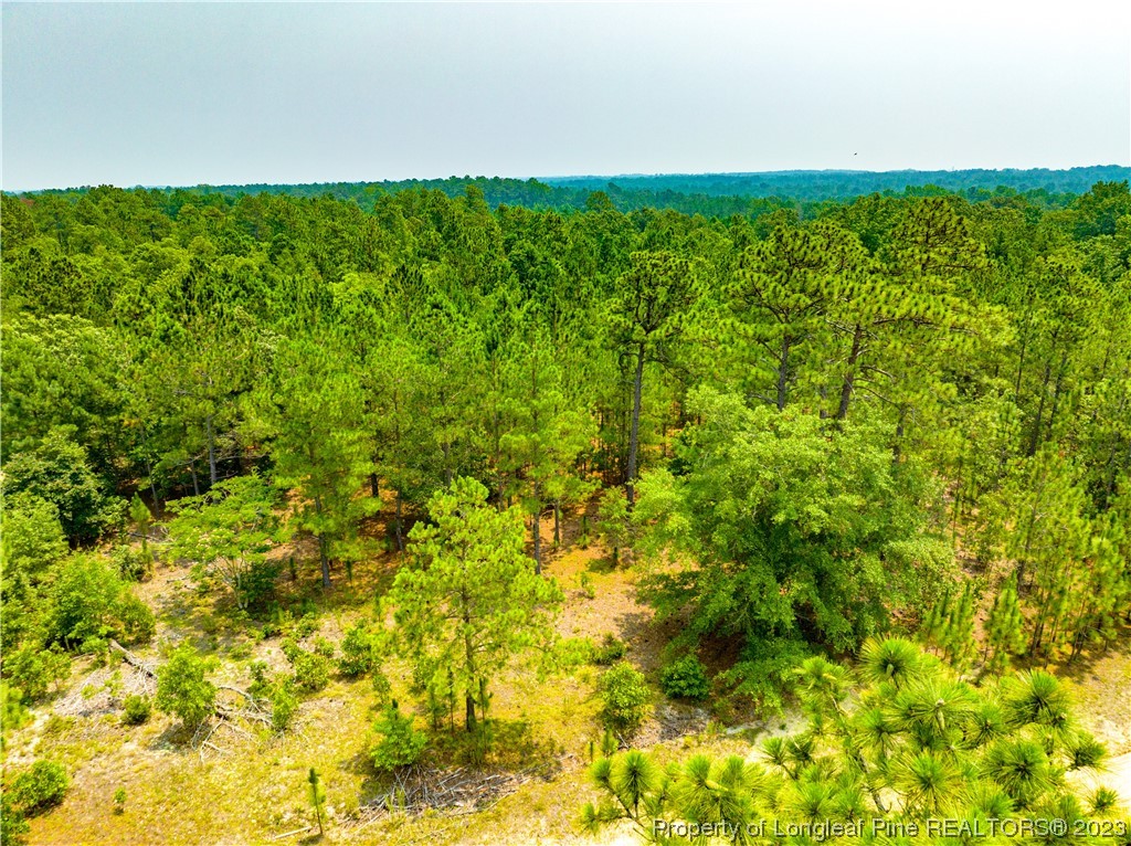 Old Forest Road Raeford, NC 28376 - Photo 5 of 7 a view of a green field