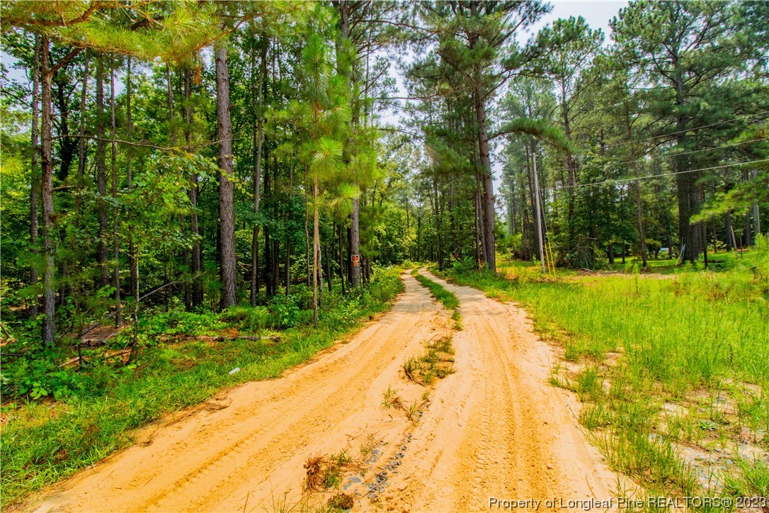 Old Forest Road Raeford, NC 28376 - Photo 7 of 7 a view of swimming pool with a yard