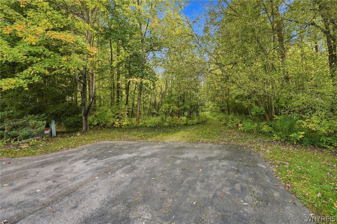 6450 Lake Shore Road Evans, NY 14047 - Photo 45 of 50 Gallery Image 45