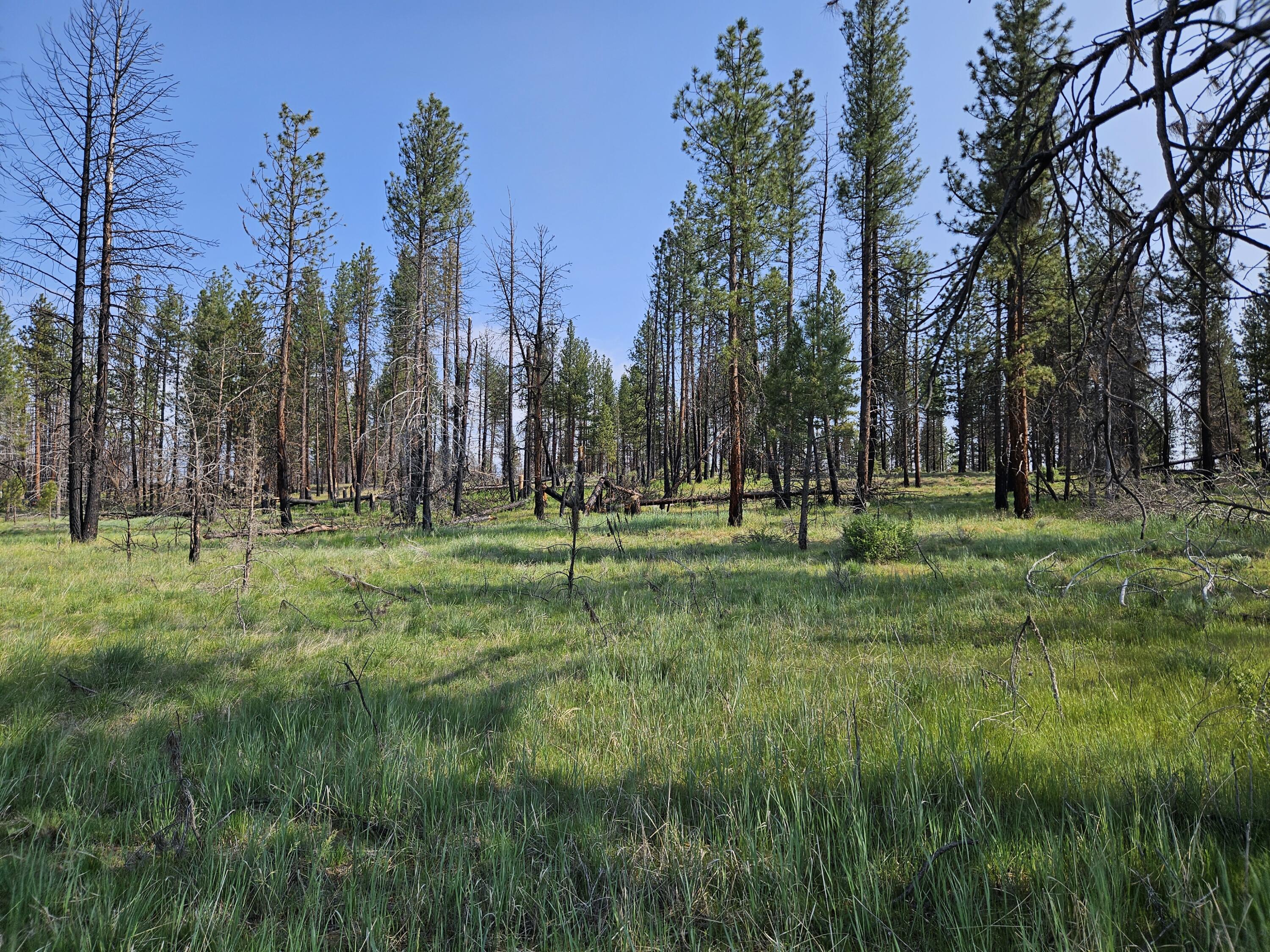 8 Parazoo Trail Bly, OR 97622 - Photo 13 of 27 20250601_165309