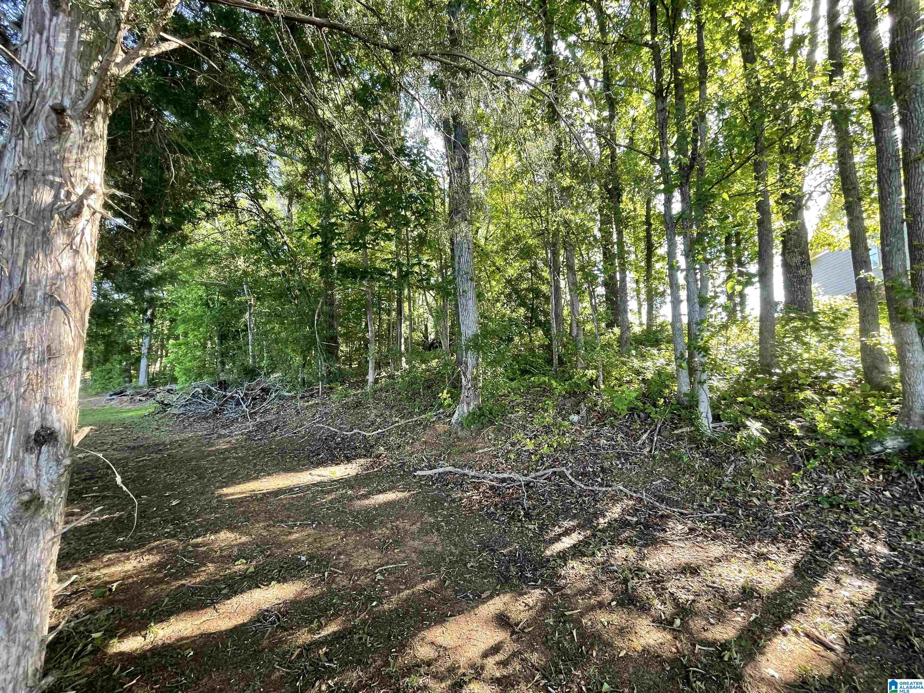 0 Cove Road, Unit 20 Sylacauga, AL 35151 - Photo 10 of 14 Gallery Image 10