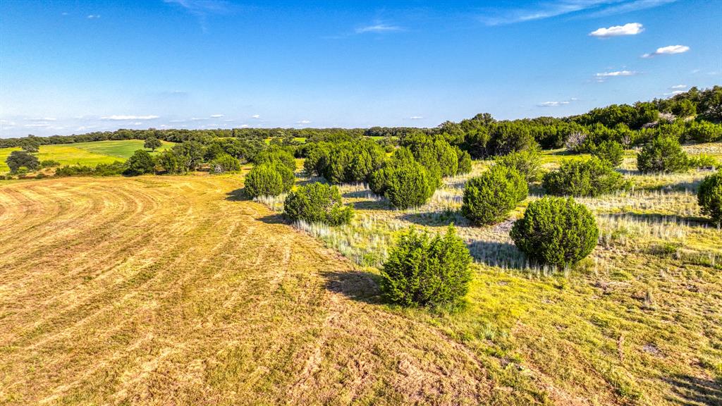 Lot 10 Quarter Loop Poolville, TX 76487 - Photo 5 of 8