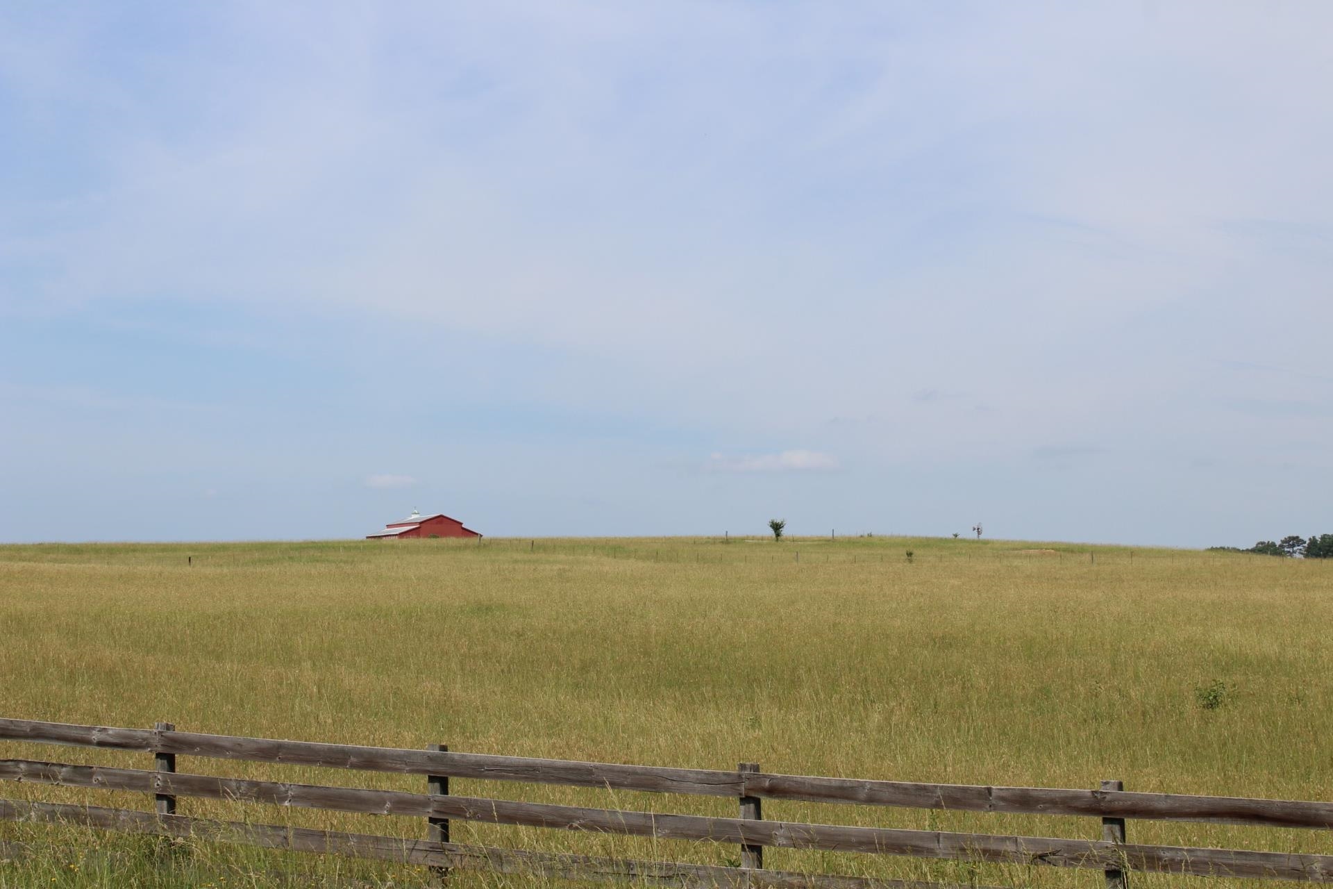 Lot 7 Ted Smith Road Rutherfordton, NC 28139 - Photo 12 of 21