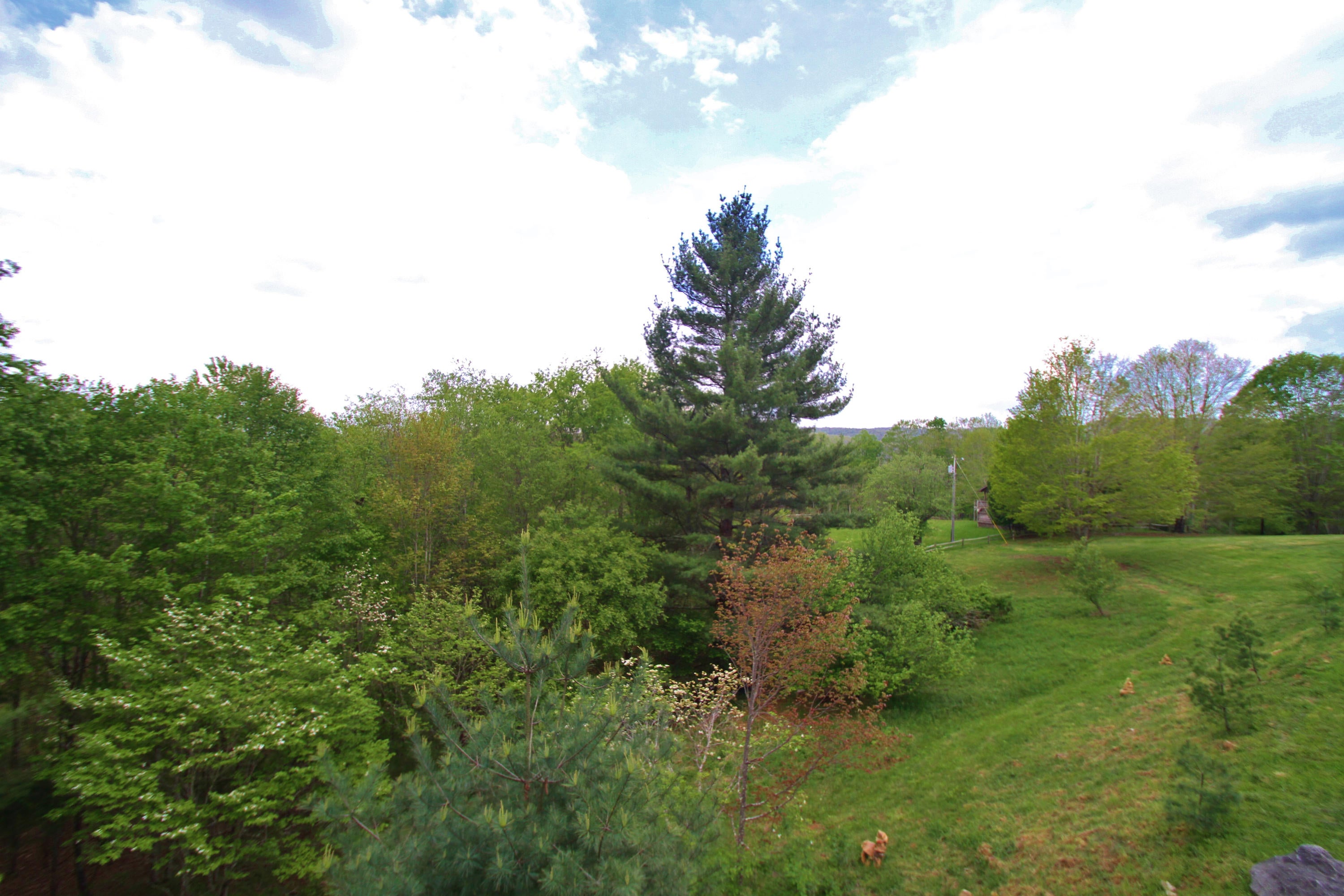 14626 Edray Road Cass, WV 24927 - Photo 69 of 84 Gallery Image 69