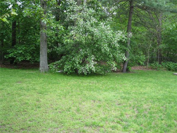 15 Emerson Road Concord, MA 01742 - Photo 17 of 21 Gallery Image 17