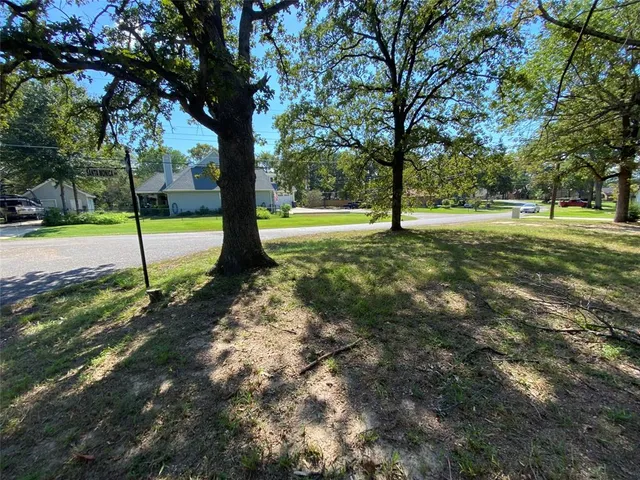 a view of a yard with trees