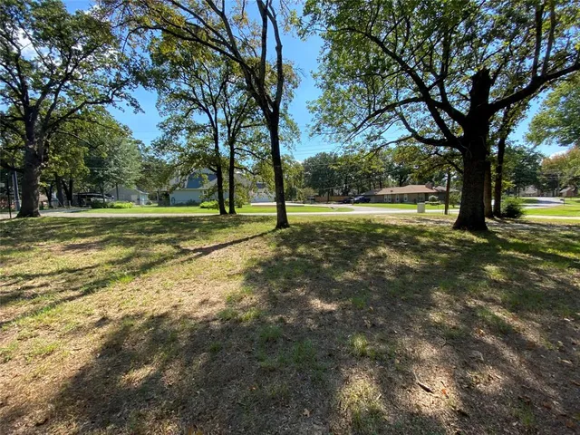 a view of a trees with a yard