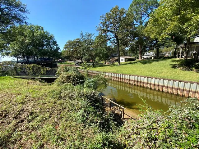 a view of a garden with large trees