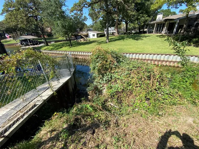 a view of a park with large trees