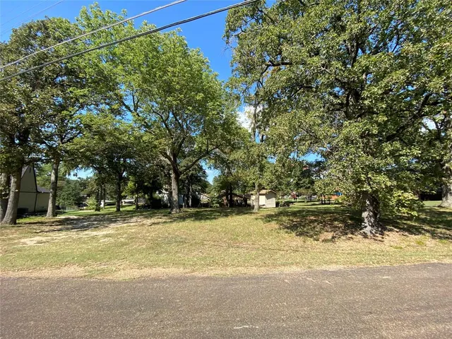 a view of a yard with a tree
