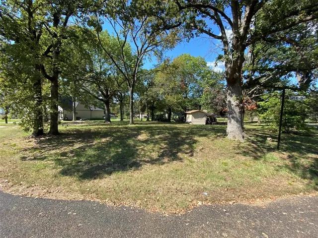 a view of a tree in a yard