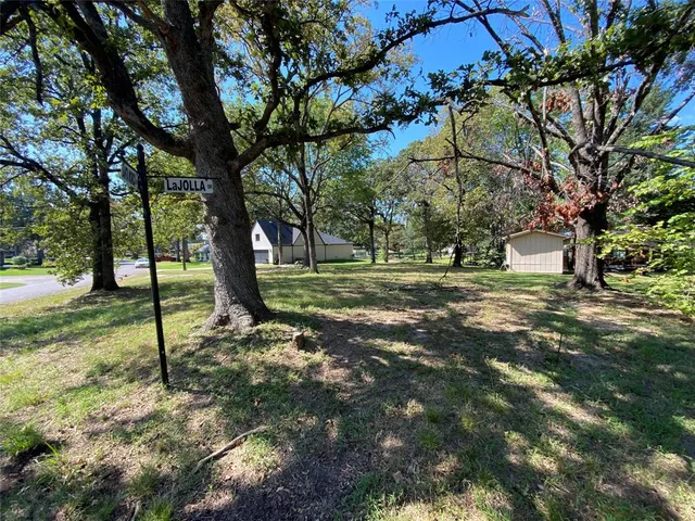 a view of a park with large trees