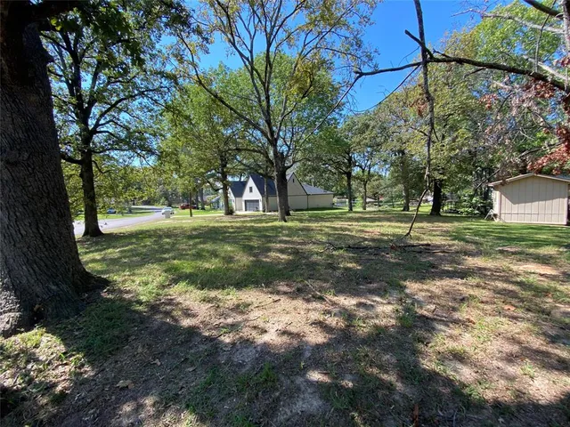 a view of a park with large trees