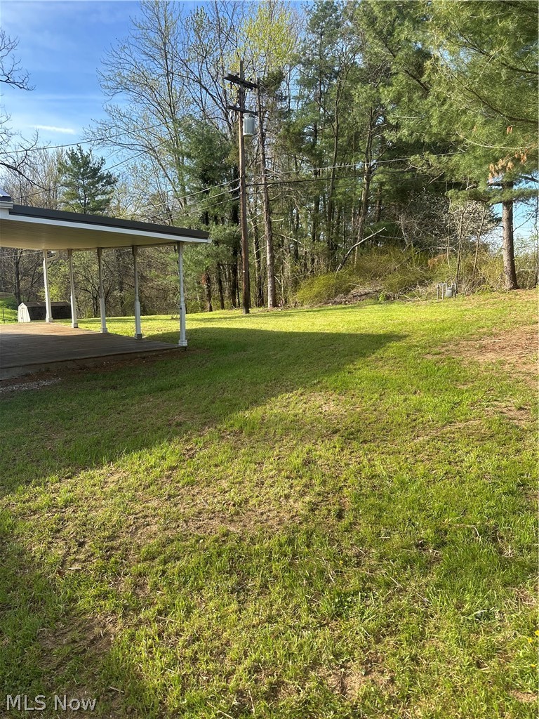 121 Andover Road Woodsfield, OH 43793 - Photo 42 of 46 Level Private Back yard