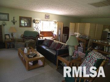 24090 Legion Road Stonefort, IL 62987 - Photo 5 of 5